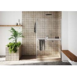 Paroi de douche TWIN TW-2002 Argent HB - 6 mm - 100 cm