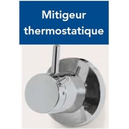 Cabine de douche 1/4 de rond CARAT 90x90 cm Thermostatique Mitigeur thermostatique