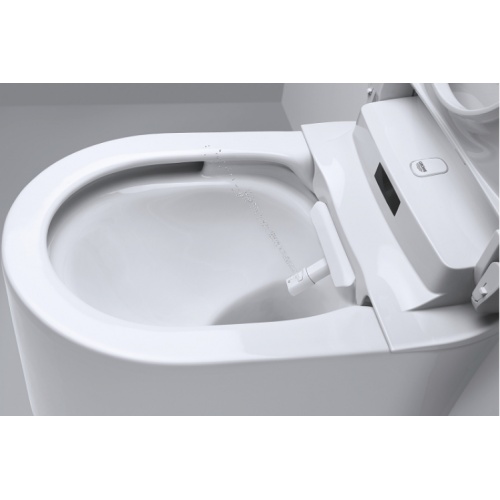 Pack WC suspendu Japonais SENSIA GROHE Zzh t39354b10 000 01