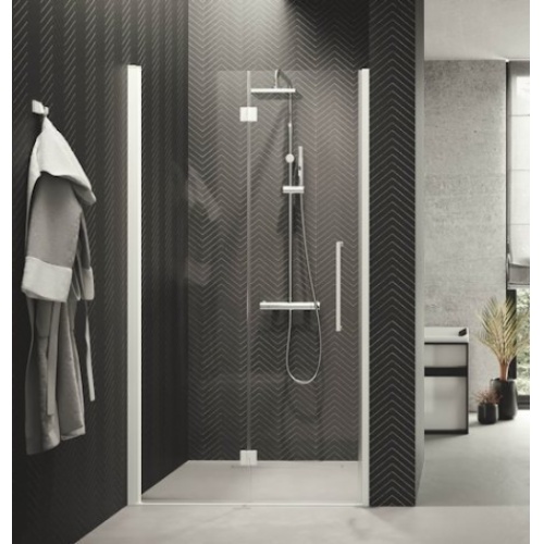 Porte pivotante et pliante YOUNG 1BS 80 cm - Transparent - Silver - Gauche Y21BSN Gauche
