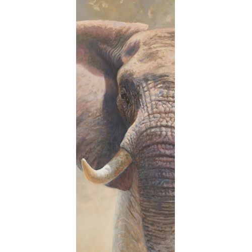 Panneau mural EasyStyle HÜPPE - Elephant 1000x2550mm Elephant 1000