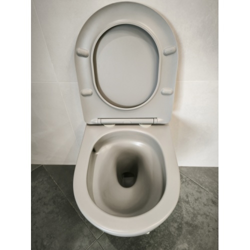 Pack Geberit UP320 + Cuvette sans bride KELOS Flush Gris Clair + Plaque Sigma Blanc IMG_20250925_153602 Pack Geberit UP320 + Cuvette sans bride KELOS Flush Gris Clair + Plaque Sigma Blanc IMG_20250925_153602