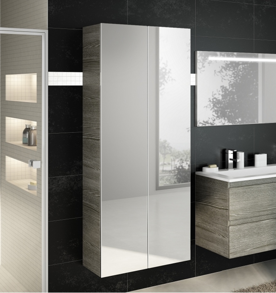 2 colonnes miroir de salle de bain Bois scié Gris DISCAC