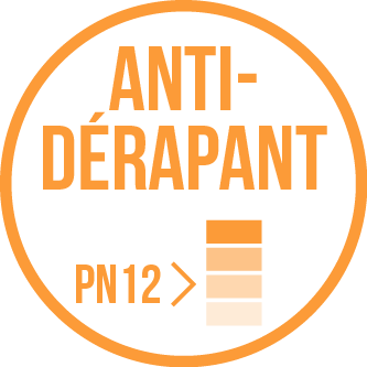 Antidérapant PN12 vignette sanitairepro.fr