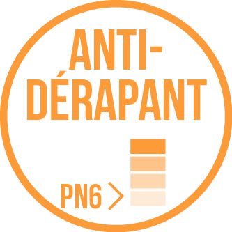 Antidérapant PN6 vignette sanitairepro.fr